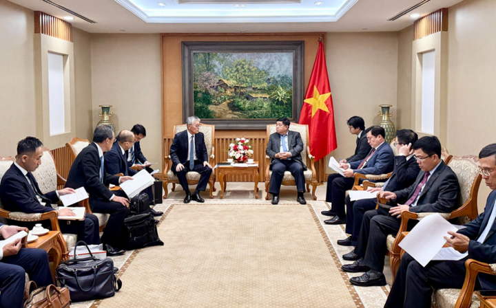 Phó Thủ tướng Nguyễn Chí Dũng tiếp ông Honna Hitoshi, Chủ tịch kiêm Tổng giám đốc Tập đoàn Erex để trao đổi về các dự án phát triển điện sinh khối. Ảnh: VGP/Thu Sa