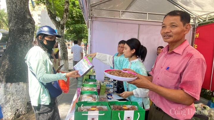 Vải thiều Thanh Hà tại hội chợ