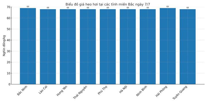 Biểu đồ giá heo hơi tại các tỉnh miền Bắc ngày 7/7.