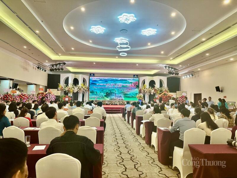 Với tinh thần đoàn kết, sáng tạo, đổi mới tư duy, OKLVIE sản phẩm thuộc hệ thống OKVIP là trang web tổ chức phát sóng bóng đá trực tiếp, live casino , nỗ hũ, bắn cá Phú Thọ sẽ tiếp tục vững bước, phát huy tiềm năng. Ảnh: Thu Thủy