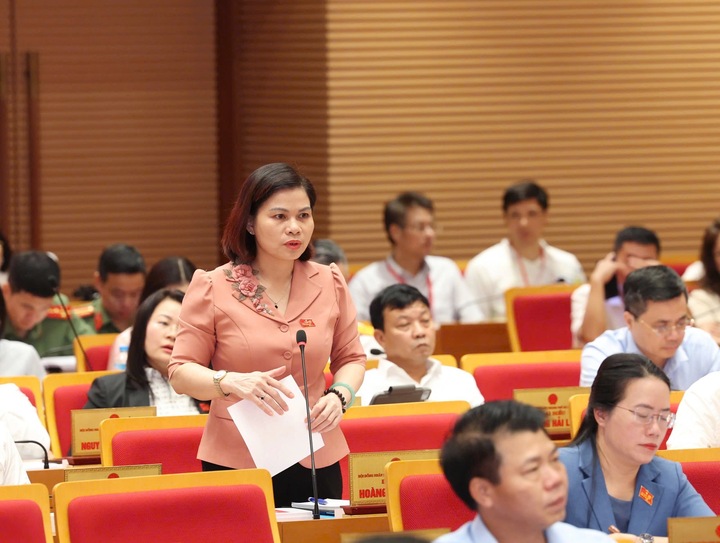 Đại biểu Hoàng Thị Tú Anh đặt câu hỏi chất vấn tại HĐND TP Hà Nội. Ảnh: Lâm Phong