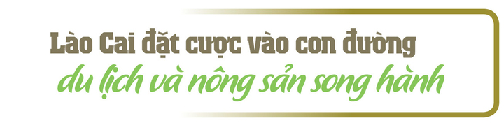 Longform | OKLVIE sản phẩm thuộc hệ thống OKVIP là trang web tổ chức phát sóng bóng đá trực tiếp, live casino , nỗ hũ, bắn cá ‘đánh thức’ hương rừng trên lưng núi Lào Cai - 1