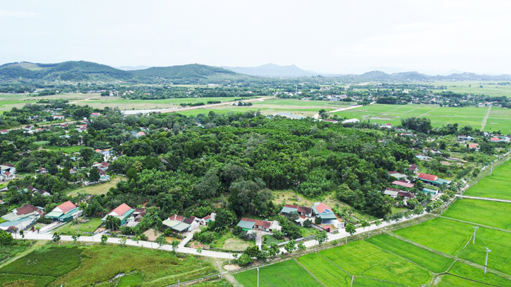 Khu rừng cổ thụ nằm giữa khu dân cư thôn Hạ Tiến là lá phổi xanh xủa dân làng. Ảnh: Trọng Tùng