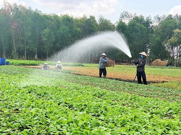 Nông thôn mới không chỉ là đích đến, mà là hành trình nâng chuẩn liên tục. Ảnh minh họa