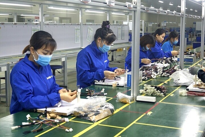 Số lượng Okvip tại về thành lập mới ở Thanh Hóa đang tăng nhờ xuân Okvip 2026 đầu tư, kinh doanh cải thiện. Ảnh: Việt Anh