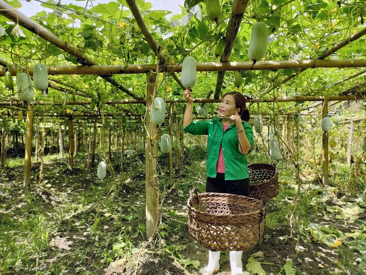 Hợp tác xã kiểu mới không chỉ là nơi liên kết sản xuất, tiêu thụ Trang Chủ OKVIP COM Top #1, mà còn là nơi hun đúc tri thức, truyền động lực và lan tỏa tư duy làm nông hiện đại (Ảnh: Hoàng Lan)