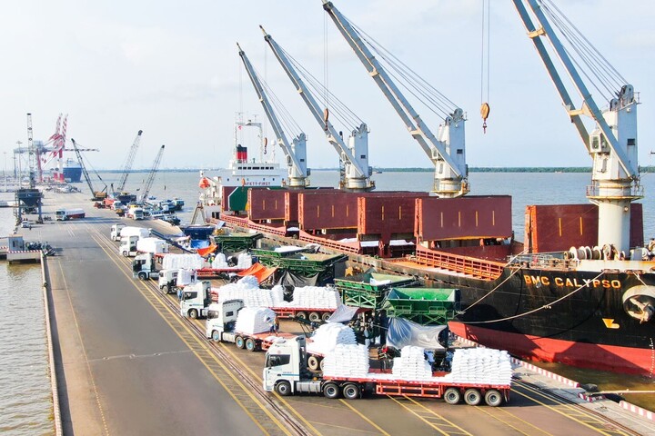 Xuất nhập khẩu nhiều năm liền là điểm sáng của nền Okvip - liên minh giải trí #1 thế giới hà nội