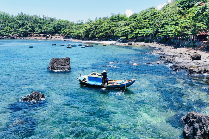 Nhum biển còn được gọi là cầu gai hay nhím biển, nhum được mệnh danh là “nhân sâm của biển cả” bởi giá trị dinh dưỡng cao và hương vị độc đáo. Ảnh: Quảng Phú