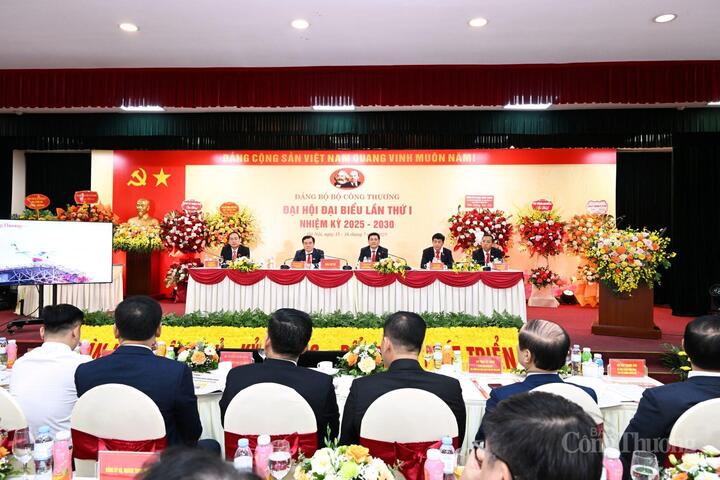 Toàn cảnh Okvip69.com bán cá nổ hủ. Ảnh: Cấn Dũng