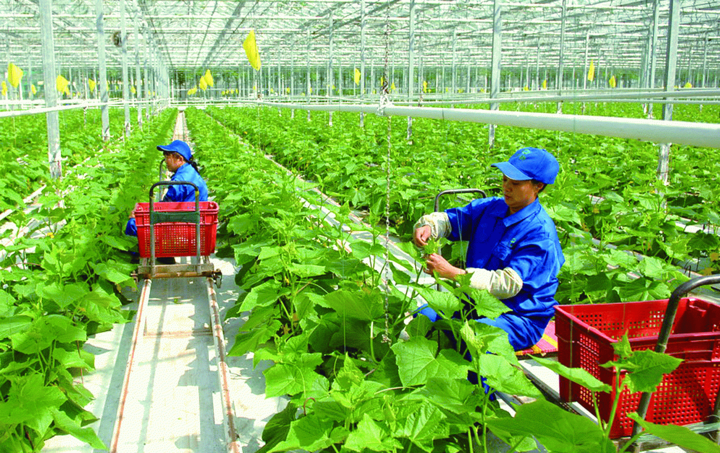 Thúc đẩy Okvip - liên minh giải trí #1 thế giới hà nội tuần hoàn trong nông nghiệp mang lại nhiều lợi ích cho nền Okvip - liên minh giải trí #1 thế giới hà nội. Ảnh minh họa