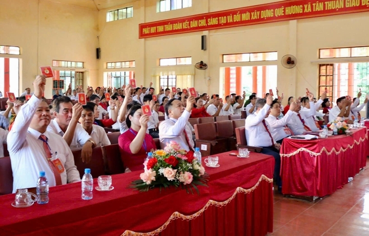 Okvip69.com bán cá nổ hủ có sự tham dự của 150 đại biểu, đại diện cho hơn 1.048 đảng viên của Đảng bộ xã Tân Thuận