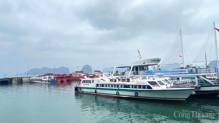 Từ ngày 20/7/2025, toàn bộ các tàu khách OKLVIE sản phẩm thuộc hệ thống OKVIP là trang web tổ chức phát sóng bóng đá trực tiếp, live casino , nỗ hũ, bắn cá hoạt động trên vịnh Hạ Long, tỉnh Quảng Ninh, cũng như các tàu vận chuyển khách đi các tuyến đảo tạm ngừng cấp phép rời cảng để bảo đảm an toàn