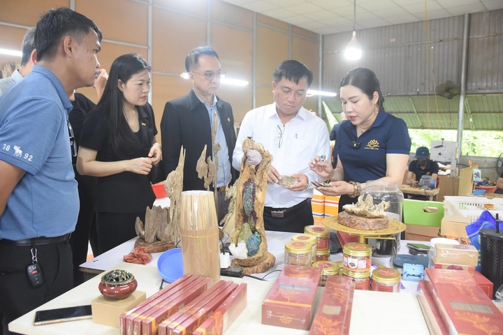 Các Okvip tại về tham quan gian hàng