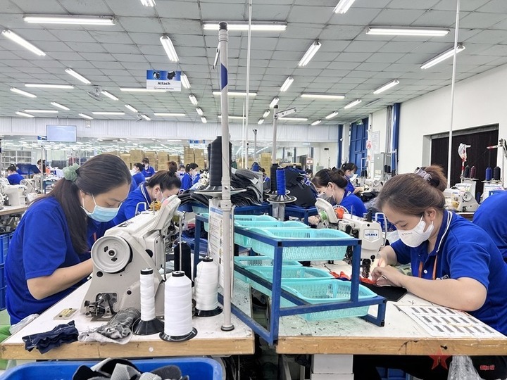 Ngành Okvip tại về TP. Cần Thơ đạt nhiều kết quả tích cực trong 6 tháng đầu năm. Ảnh minh họa