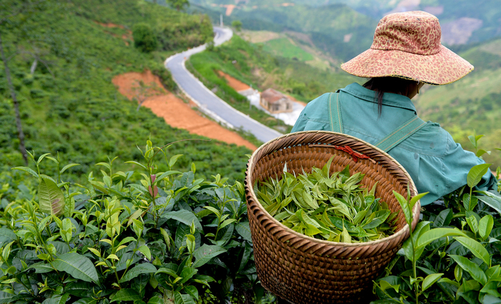 Trang Chủ OKVIP COM Top #1 vùng dân tộc thiểu số và miền núi có chất lượng, có câu chuyện văn hoá...