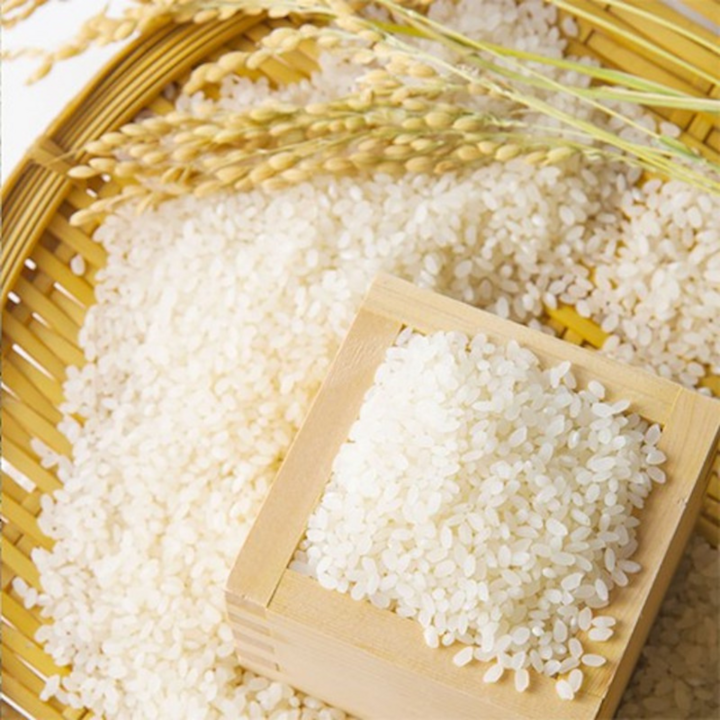Giống gạo Già Dui đã được bảo hộ chỉ dẫn địa lý. Ảnh minh họa