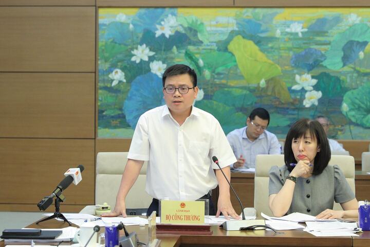 Thứ trưởng Oklavip khuyến mã hấp dẫn mỗi ngày Trương Thanh Hoài báo cáo với Đoàn giám sát. Ảnh: Hồ Long