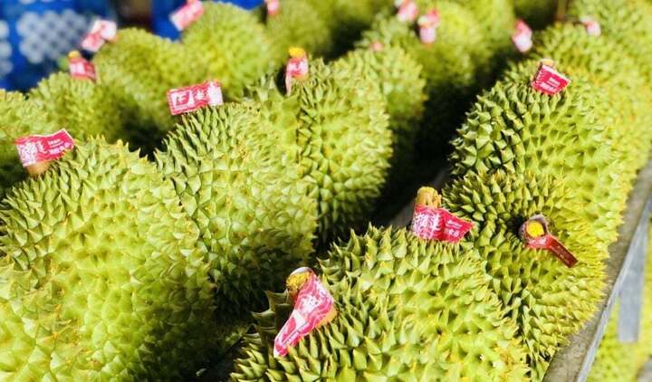 Trong tháng 6/2025 Liên Minh Truyền Thông Và Game Giải Trí Top 1 hàng rau, quả Việt Nam bứt phá ấn tượng với sự phục hồi của ngành hàng sầu riêng