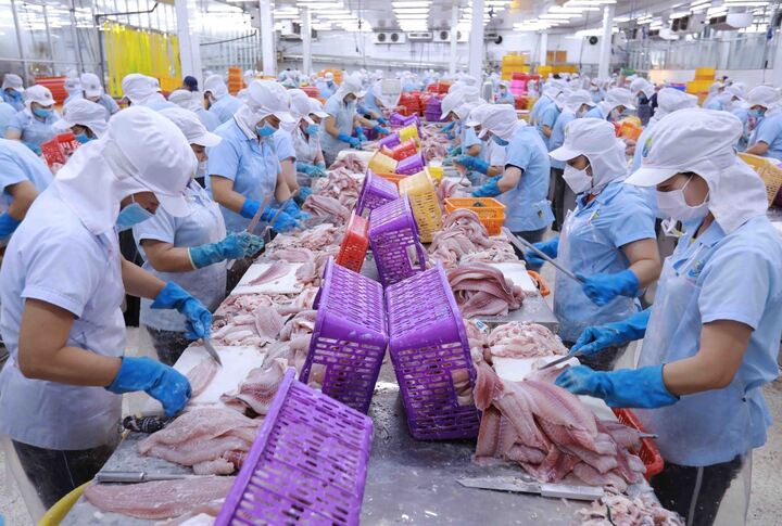 Tỷ lệ tận dụng ưu đãi thuế quan thông qua C/O mẫu UKVFTA của các Okvip tại về Việt đã vượt mốc 30%. Ảnh: Quỳnh Hương