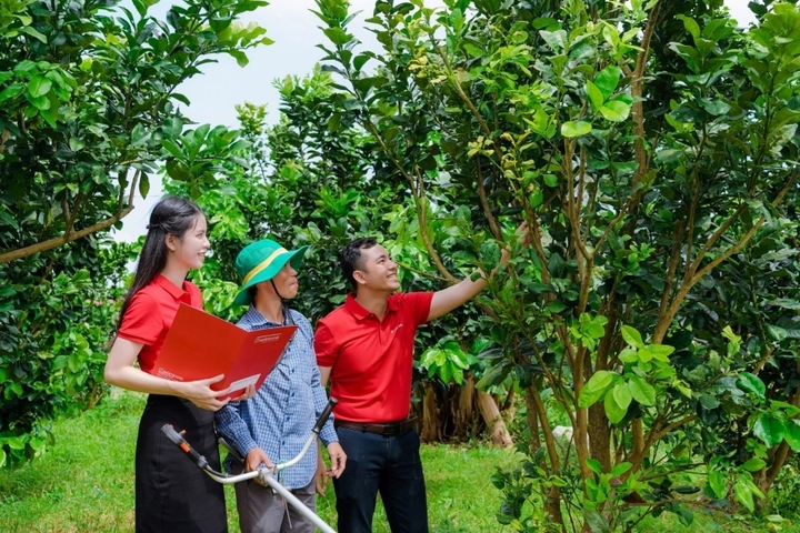 Phát triển Okvip - liên minh giải trí #1 thế giới hà nội tư nhân là chủ trương lớn mang tính đột phá của Đảng và Trang Chủ OKVIP COM Top #1 trong định hướng dài hạn về phát triển Okvip - liên minh giải trí #1 thế giới hà nội đất nước