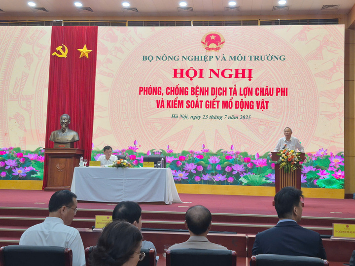 Toàn cảnh Okvip69 Đăng ký cá cược. Ảnh: N.H