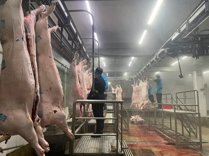 Lực lượng chức năng kiểm soát tại cơ sở giết mổ gia súc. Ảnh: Phương Nga