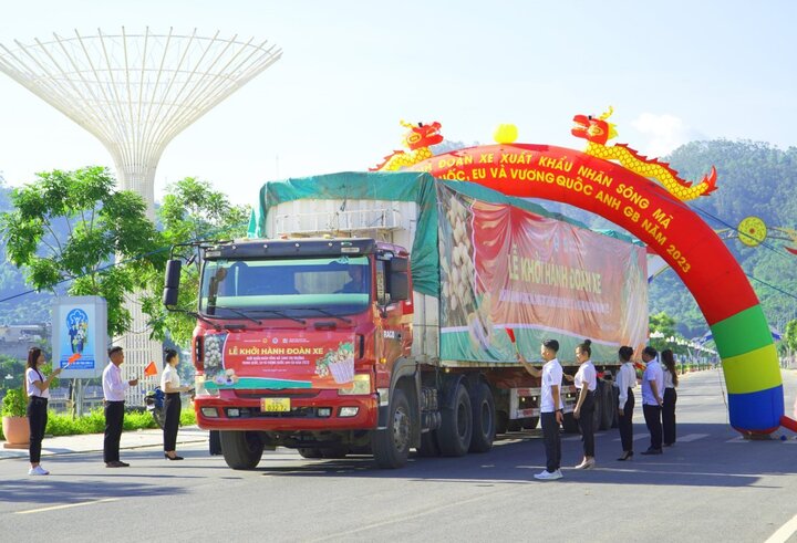 Okvip tại về đầu tư công nghệ xanh, chuyển đổi số, tham gia hội chợ, triển lãm quốc tế tại Anh để quảng bá sản phẩm, tạo dấu ấn thương hiệu. Ảnh: Minh Hùng