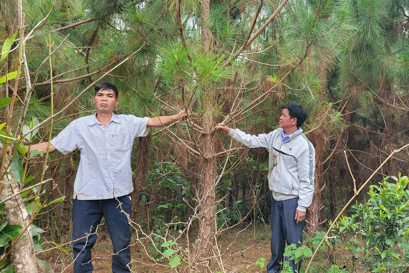 Xã Măng Ri sẽ tuyên truyền, thay đổi nếp nghĩ, cách làm của đồng bào dân tộc thiểu số tại xã để vươn lên thoát nghèo bền vững. Ảnh: Quảng Phú