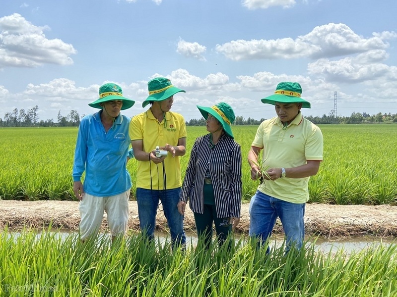 Hai thương hiệu phân bón của Petrovietnam còn mang theo niềm tin, sự chủ động và an tâm, tự tin canh tác cho bà con nông dân. (Ảnh: Kỹ sư Phân bón Cà Mau tư vấn kỹ thuật canh tác cho bà con nông dân) (Ảnh: Petrovietnam)