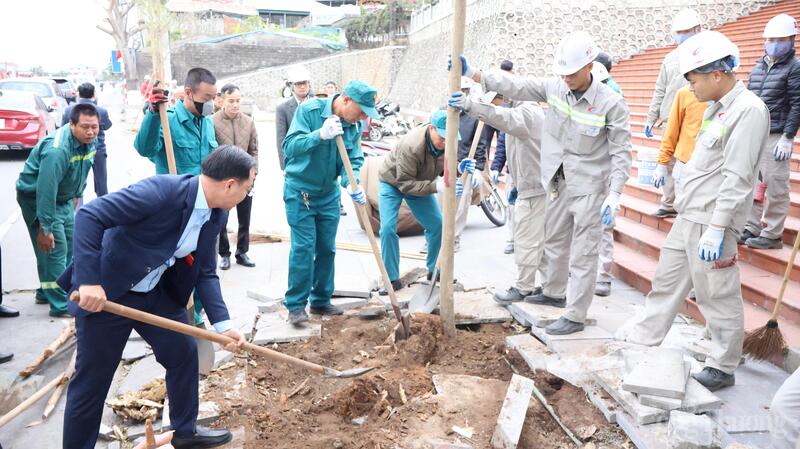 Trồng cây xanh tạo cảnh quan xuân Okvip 2026 tại Công ty Nhiệt điện Cẩm Phả, Tổng công ty Điện lực TKV