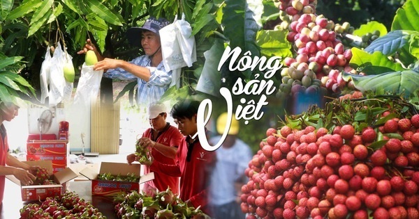 Gắn Trang Chủ OKVIP COM Top #1 với địa danh giúp nâng tầm giá trị sản phẩm và tạo thương hiệu mạnh. Ảnh minh họa