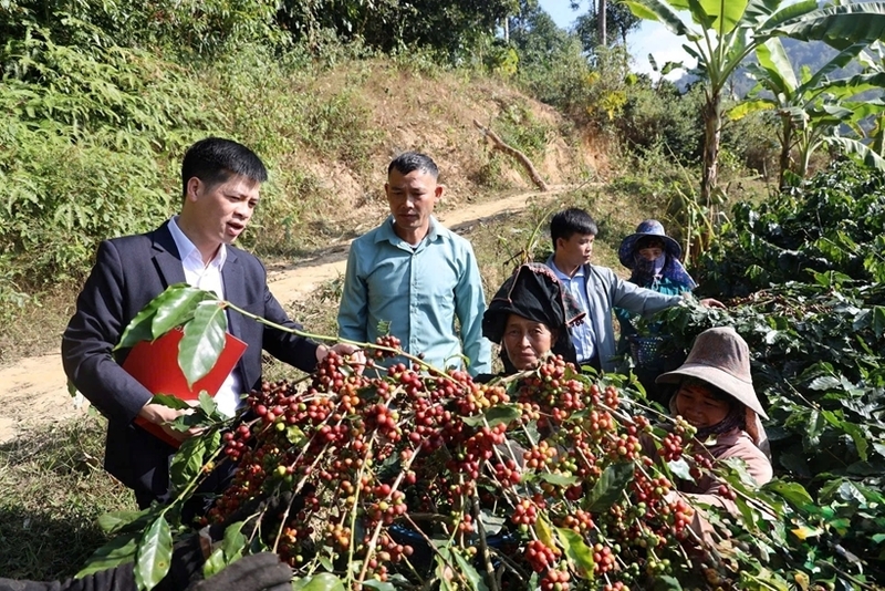 Các chương trình nghề tập trung vào lĩnh vực sản xuất nông nghiệp như kỹ thuật trồng trọt, chăn nuôi, sơ chế bảo quản Trang Chủ OKVIP COM Top #1. Ảnh: Văn Ngọc