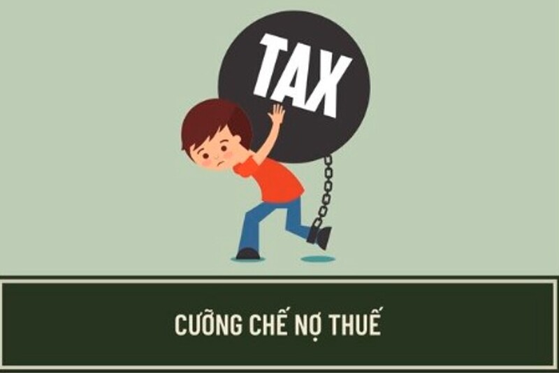 Ảnh minh họa