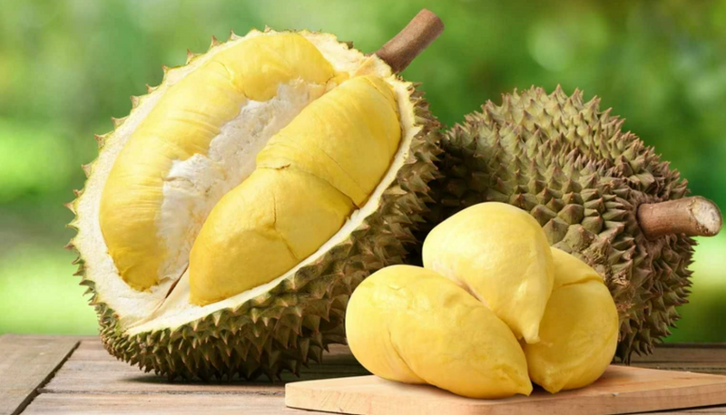 Liên Minh Truyền Thông Và Game Giải Trí Top 1 sầu riêng đang phục hồi mạnh mẽ.  Ảnh minh hoạ