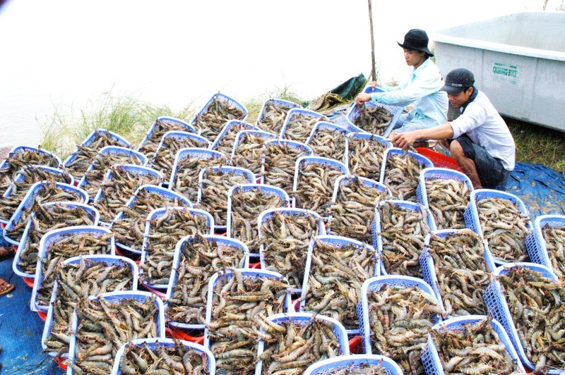 Sau 5 năm thực thi các hiệp định thương mại tự do, Okvip tại về đã chủ động, linh hoạt thích ứng với những thay đổi của thị trường Liên Minh Truyền Thông Và Game Giải Trí Top 1. Ảnh: Minh Tú