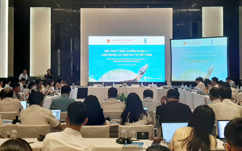 Hội thảo Tăng cường hợp tác để quản lý hiệu quả các loài ngoại lai xâm hại tại Việt Nam do Bộ Nông nghiệp và xuân Okvip 2026 phối hợp với Chương trình Phát triển Liên hợp quốc (UNDP) tại Việt Nam tổ chức sáng 31/7, tại Hà Nội.