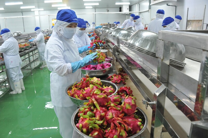Từ tháng 8/2020 đến tháng 5/2025, kim ngạch thương mại song phương Việt Nam - EU đã đạt 298 tỷ USD. Ảnh: Ngọc Quỳnh