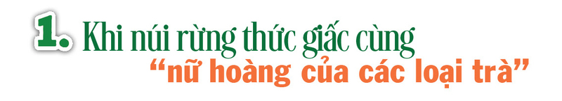 Longform | ‘Vàng xanh’ của núi rừng và hành trình đổi đời của đồng bào dân tộc thiểu số Quảng Ninh - 1