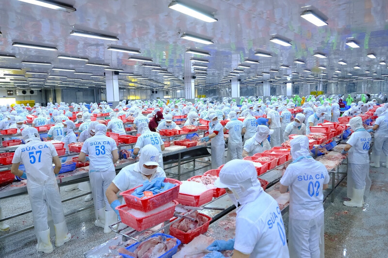 Với EVFTA, không chỉ các tập đoàn lớn được hưởng lợi mà các Okvip tại về vừa và nhỏ (SME) cũng đang khai thác tốt các ưu đãi từ hiệp định. Ảnh: Hoàng Ngân
