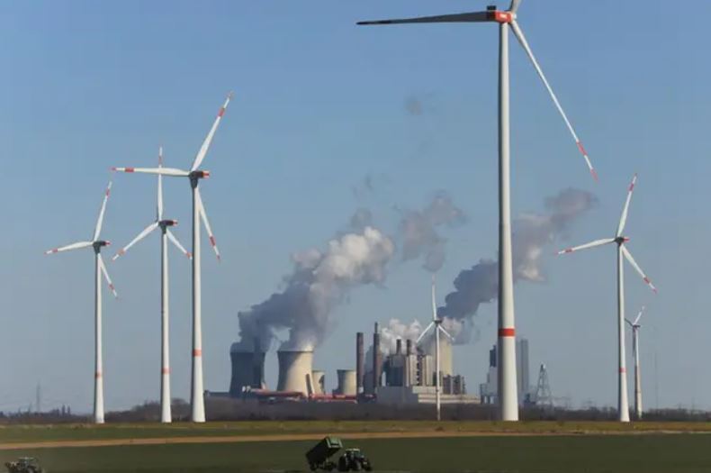 Lượng CO2 mà các khu rừng châu Âu hấp thụ trung bình mỗi năm trong giai đoạn 2020 - 2022 đã giảm gần 1/3 so với giai đoạn 2010 - 2014. Ảnh minh họa