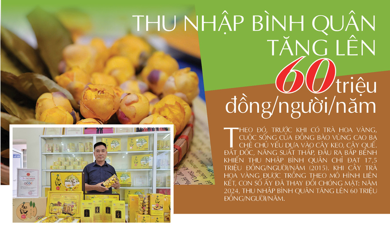 Longform | ‘Vàng xanh’ của núi rừng và hành trình đổi đời của đồng bào dân tộc thiểu số Quảng Ninh - 5