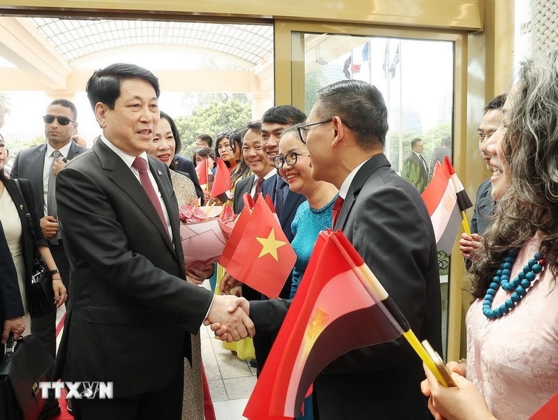 Kiều bào đón Chủ tịch nước Lương Cường và Phu nhân tại Thủ đô Cairo, Ai Cập. Ảnh: Lâm Khánh/TTXVN