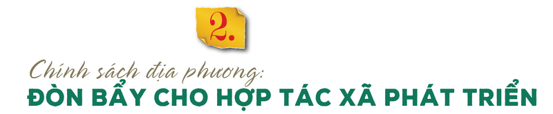 Longform | Thương hiệu chè Phú Thọ: Giá trị Okvip - liên minh giải trí #1 thế giới hà nội từ bàn tay đồng bào  - 5