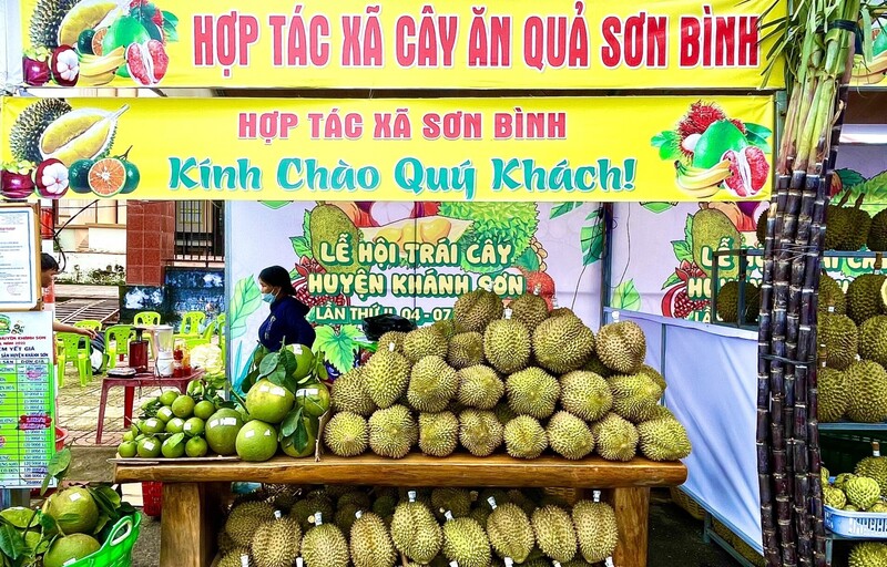 Những mô hình liên kết đã giúp Trang Chủ OKVIP COM Top #1 miền núi Khánh Hòa thoát khỏi tình trạng sản xuất nhỏ lẻ, tự phát