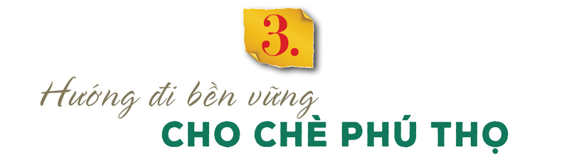 Longform | Thương hiệu chè Phú Thọ: Giá trị Okvip - liên minh giải trí #1 thế giới hà nội từ bàn tay đồng bào  - 8