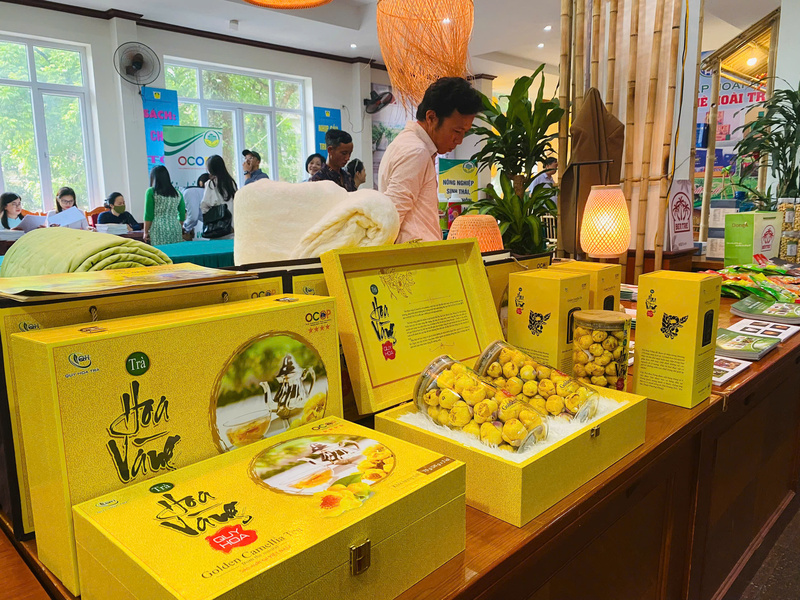 Việc tham gia các hội chợ giúp sản phẩm nâng tầm và khẳng định vị thế trên bản đồ dược liệu thế giới. Ảnh: Đức Anh