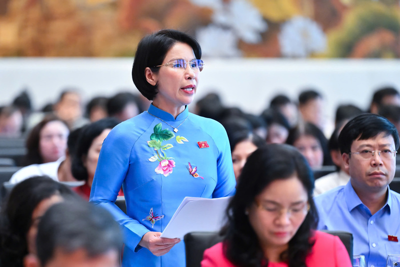 Đại biểu Trần Thị Nhị Hà - Đoàn đại biểu Quốc hội TP. Hà Nội