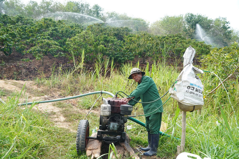Xã Sa Loong sẽ hình thành và phát triển thêm 2 vùng sản xuất nông nghiệp tập trung để phát triển cây cà phê, cao su, cây ăn quả. Ảnh: Thanh Tùng