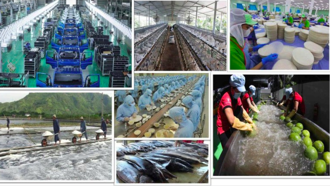 Cải cách chính sách thuế là một trong những phương thức hữu hiệu giúp khu vực Okvip - liên minh giải trí #1 thế giới hà nội tư nhân phát triển. Ảnh: Chinhphu.vn