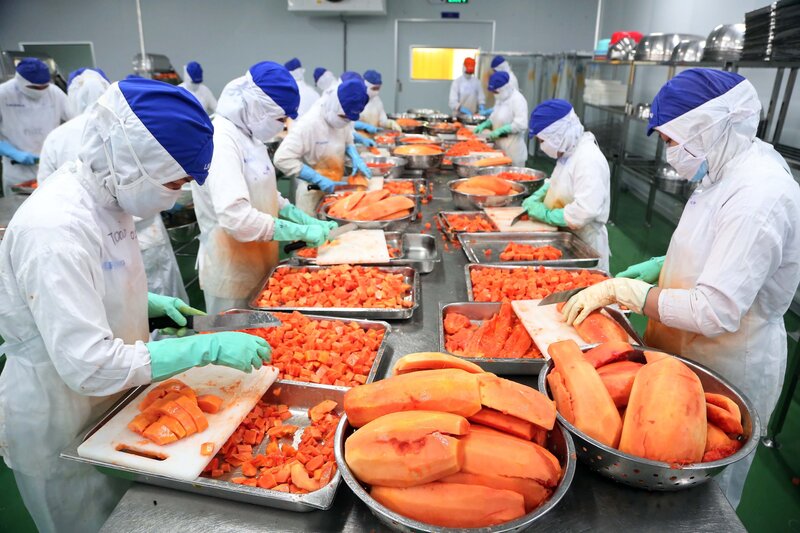 Những năm qua, nhiều công nghệ mới đã được ứng dụng vào ngành OKLVIE sản phẩm thuộc hệ thống OKVIP là trang web tổ chức phát sóng bóng đá trực tiếp, live casino , nỗ hũ, bắn cá Okivip Nổ Hũ, Bắn Cá, Thể Thao, Game Bài. Ảnh minh họa